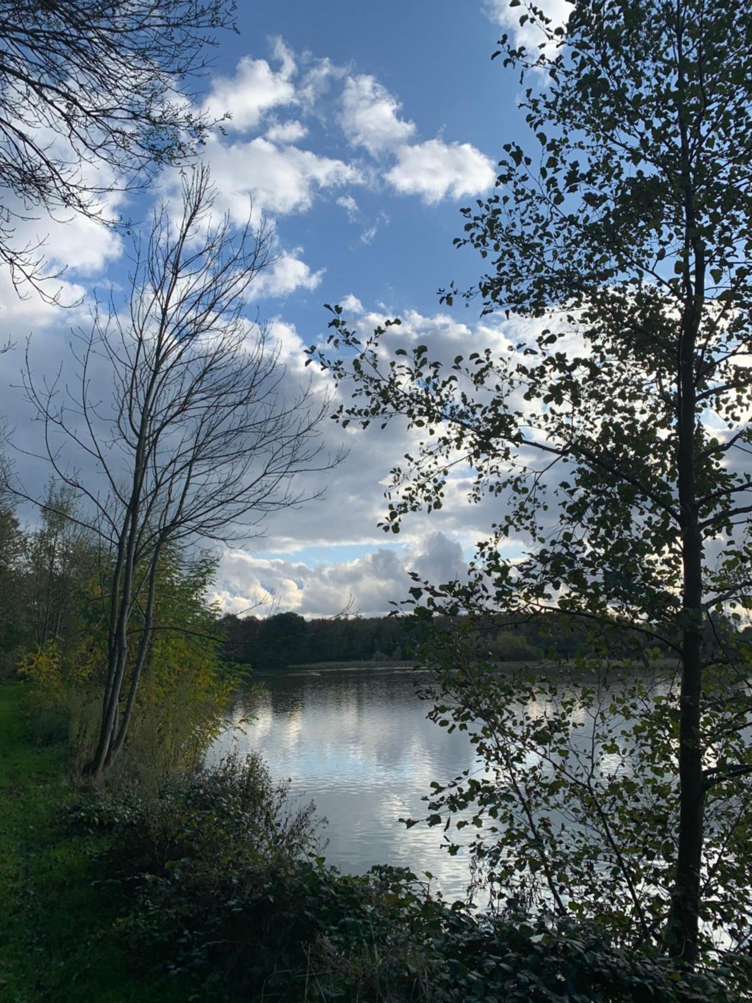 Châtillon-sur-Chalaronne Le Domaine Du Pin B&B 외부 사진