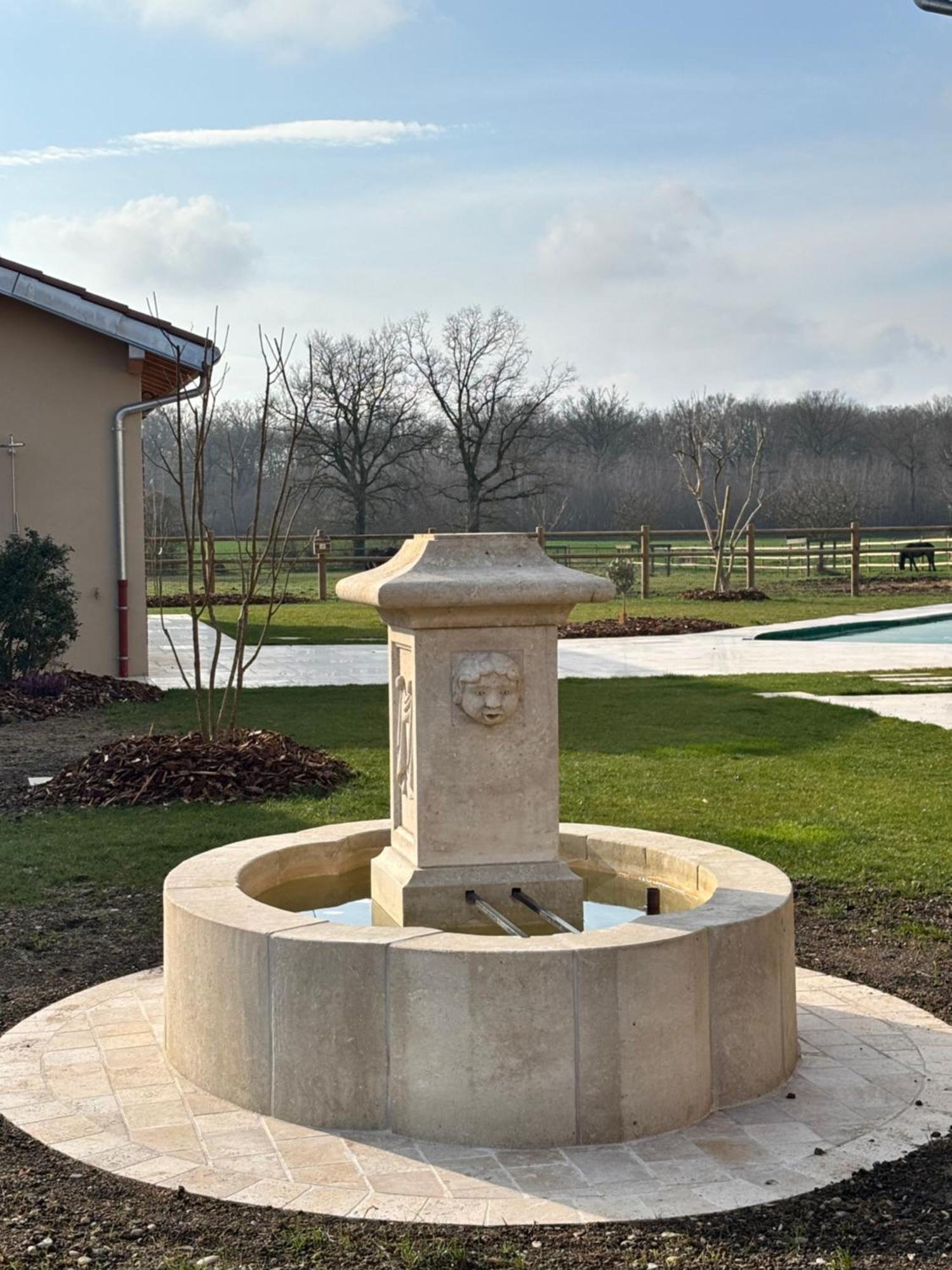 Châtillon-sur-Chalaronne Le Domaine Du Pin B&B 외부 사진