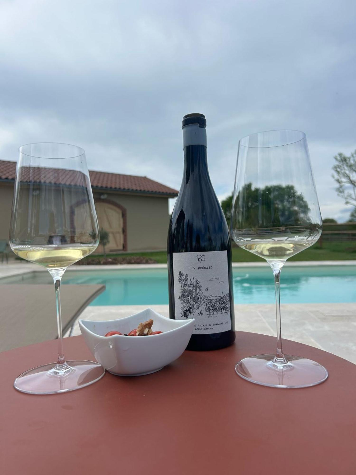 Châtillon-sur-Chalaronne Le Domaine Du Pin B&B 외부 사진